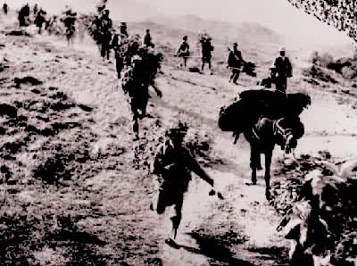 ���������Ľ�ž�һ�����˶���