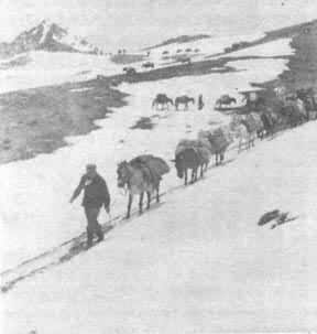 ʹ��������ɽ������