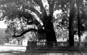 ����ı�ʱ�ľ�ַ�����������ƺ