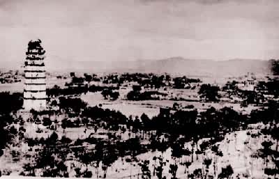 ���������׸��������������ء����������