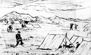 ����������ڲݵ���Ӫ(�滭)