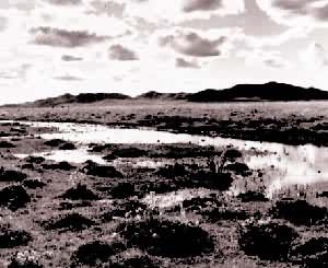 �������;���߹���ˮ�ݵ�