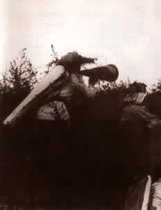 �����ž������ǰ����о���������