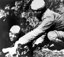 ��˼��(��)���±���������ɽ����̿