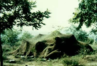 �ڸ�����