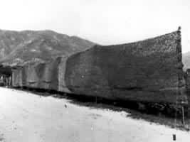 ·�Դ�ֱ����