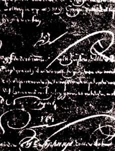 ����ֳ���ߵ�Ͷ����