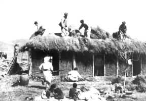 �й�����־Ը����������ũ����·�