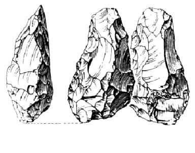 ����ά���ָ�