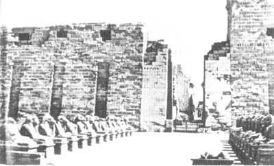 ���ɿ˰����������