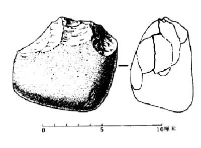 ���������¶�����Ͽ�ȵ�1�����