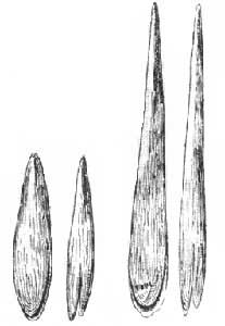 �������Ļ��Ĺ���