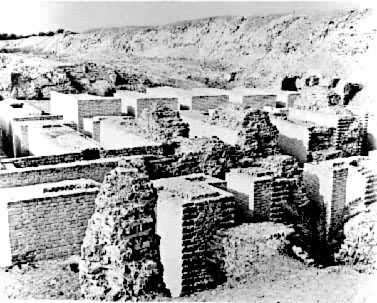 �ͱ��׳ǿ��л�԰�ż�