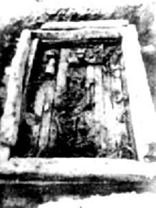 �׸�����Ĺ��ľ�