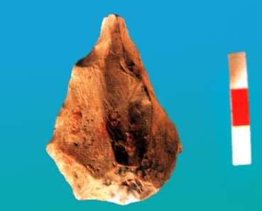 �������ˡ��ļ�״��