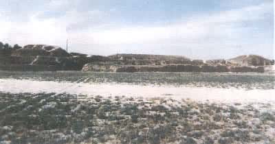 �����������ơ���������Ԫ����ַ