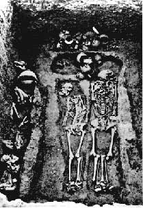 �����13��Ĺ��������