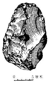 ��֥���Ļ����ָ�