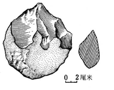 ���Ͷ����Ļ�����ʯ����