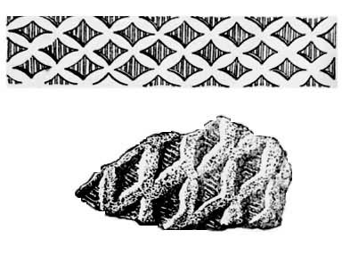 ��������֯�ƣ���Ϊ����֯�Ƶ���Ƭ����Ϊ��ԭͼ����