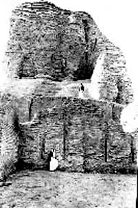 �Ŷ���������ַ��������ַ