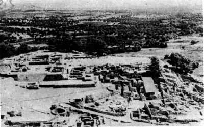 ��˹��˹������ַȫ��