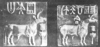 Ħ�������޳����Ķ�����ӡ��