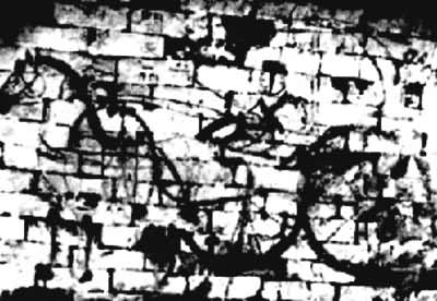 ���ɹ��п���������Ĺ�ڻ�