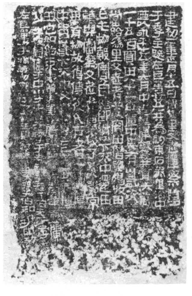 ������͢�︸�σd����Լ��ʯȯ����Ƭ�d