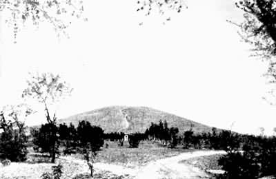 �����ï��