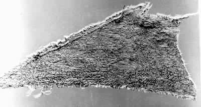 ����粣�������