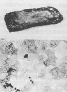 ���弰�������֯����������ַ��