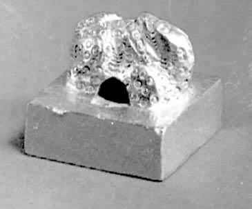 ��ίū������ӡ