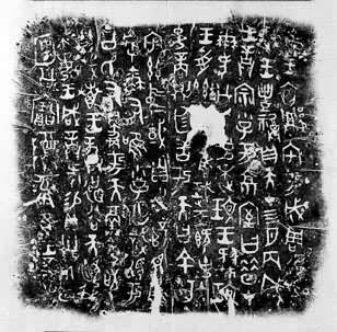 ����������Ƭ