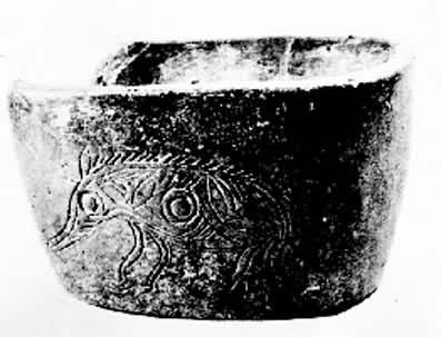 �����ղ�