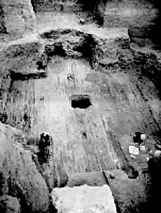 1001��Ĺ���