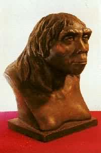 �������ˡ���ԭ��