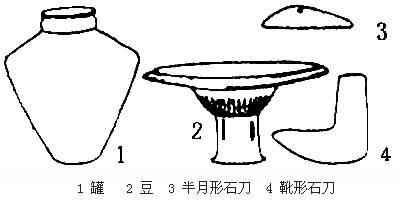 ���ͷ�Ļ�������