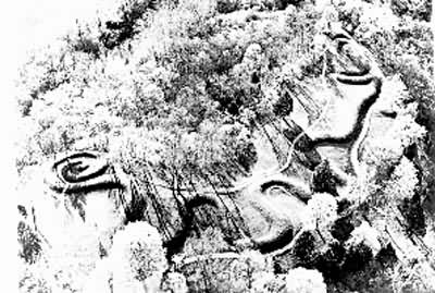 ����Τ���Ļ������Ĺ�թ����߶�