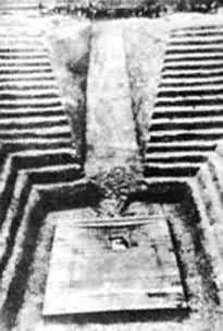 �������ǹ�1��ĹĹ�Ӽ���Ҷ���