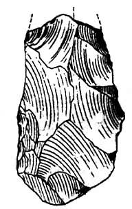 �\���Ļ���������״��