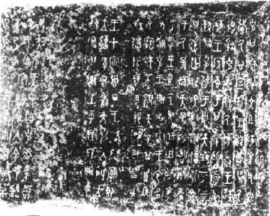 ��˶���������Ƭ�����֣�