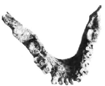 �¼��ѳ������������ǻ�ʯ