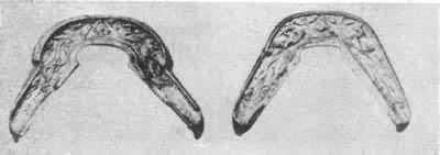 �̽�������������