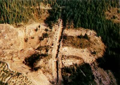 �㽭��ȪҤַ���