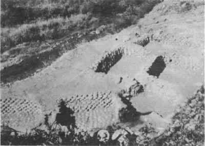 ��ȪҤ�����ڵ���ϴ�����أ��δ���