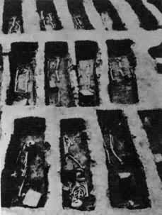 ������ͽĹ�أ��ֲ���