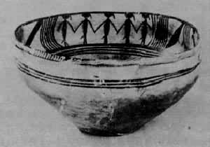 �赸�Ʋ����衡�������ַ����