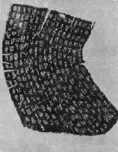 ë����������Ƭ