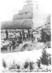 �������������ǲ�ȱ�ı�̨